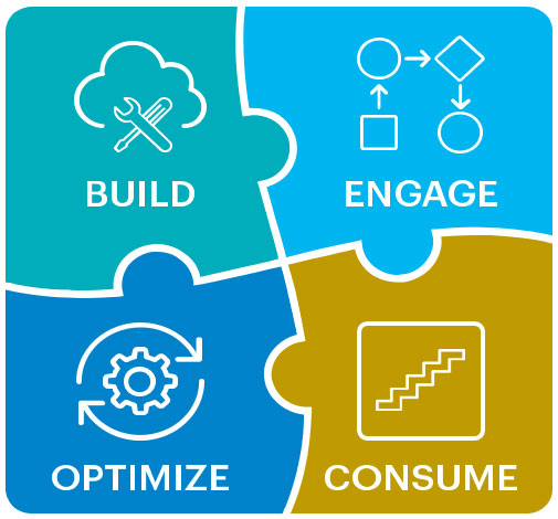 NetSuite SuiteSuccess