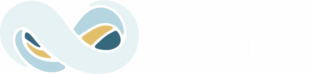 Logo NetSuite